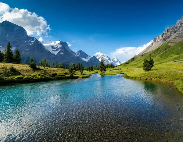 Comment organiser une croisière pour découvrir les récifs coralliens en Indonésie?