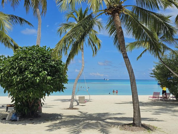 Où apprendre les techniques de la cuisine japonaise à Osaka?